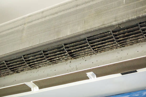 Best Air Filter Replacement Services in Alamo, CA