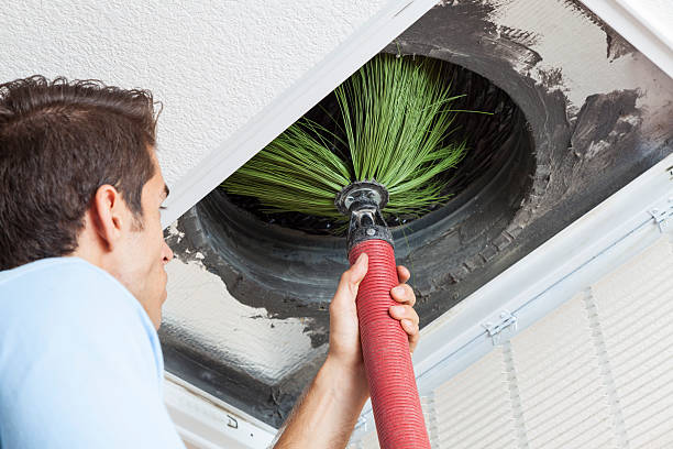 Best Ductwork Odor Removal in Alamo, CA